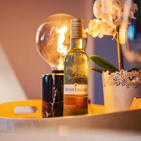 Edler Wohnraum Modernes Vorstadtstudio Mit Emma-bett, Garten & Kaffeevollautomat 아파트 츠비카우