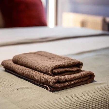 Edler Wohnraum Modernes Vorstadtstudio Mit Emma-bett, Garten & Kaffeevollautomat アパート ツウィッカウ